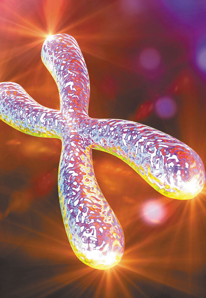 DNA-Aging-Test