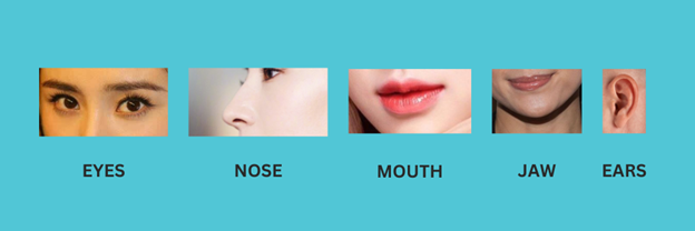 Facial Landmark Balance and Symmetry